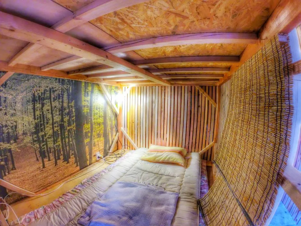 فندق طوكيوفي  Jamhouse Amaterasu اليابان